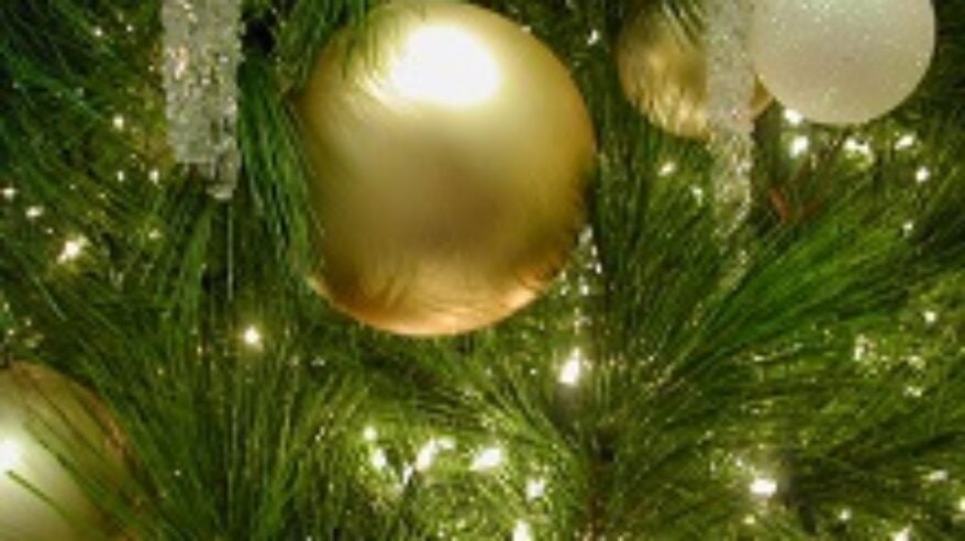 A Christmas poem from The Knowledge