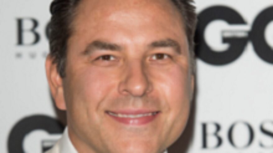 David Walliams is a Partner in Crime