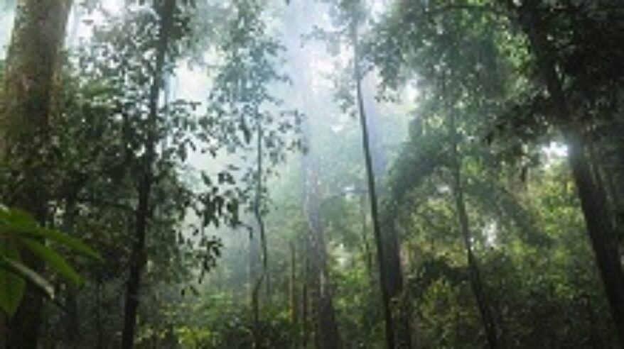 BBC Four asks for mindfulness series