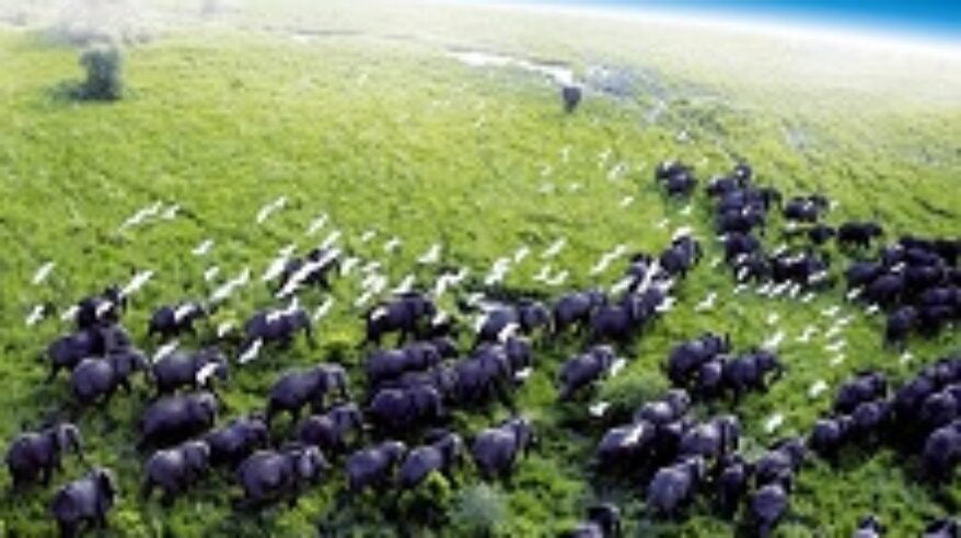 Our Planet set for 48 month shoot