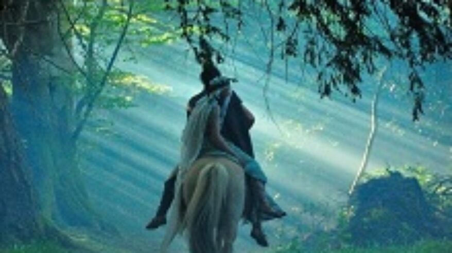 Galloping with Les Amis d’Onno