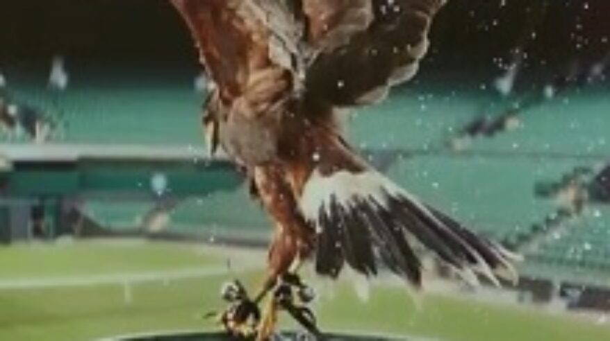 Stella Artois perfects Wimbledon advert