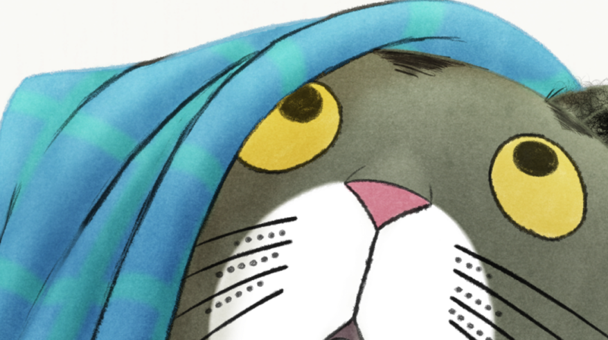 Animated drawing of a grey cat's face, with its head partly hidden by a blue blanket